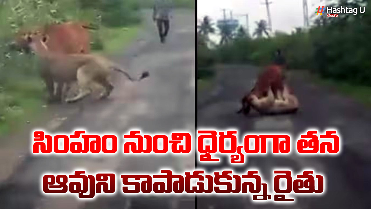 Brave farmer