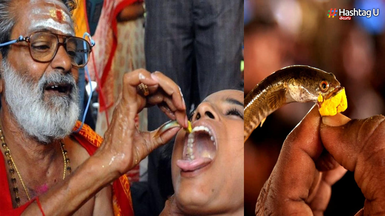 Fish Prasadam