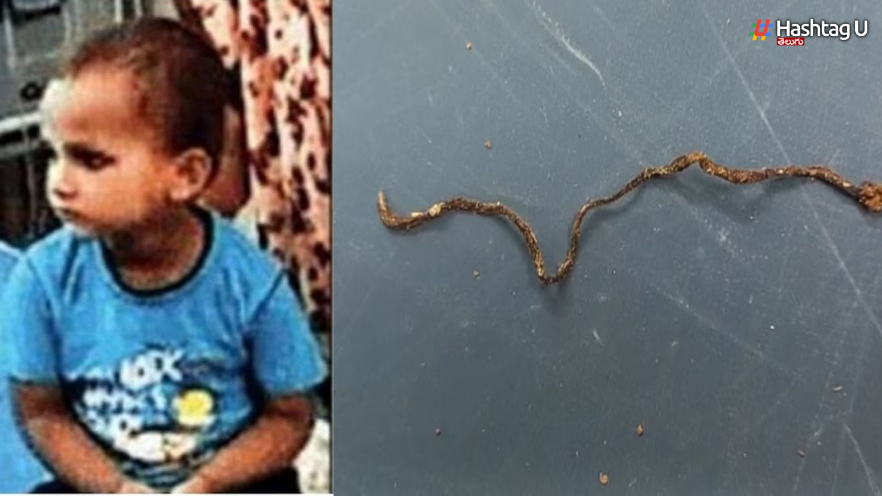 Snake