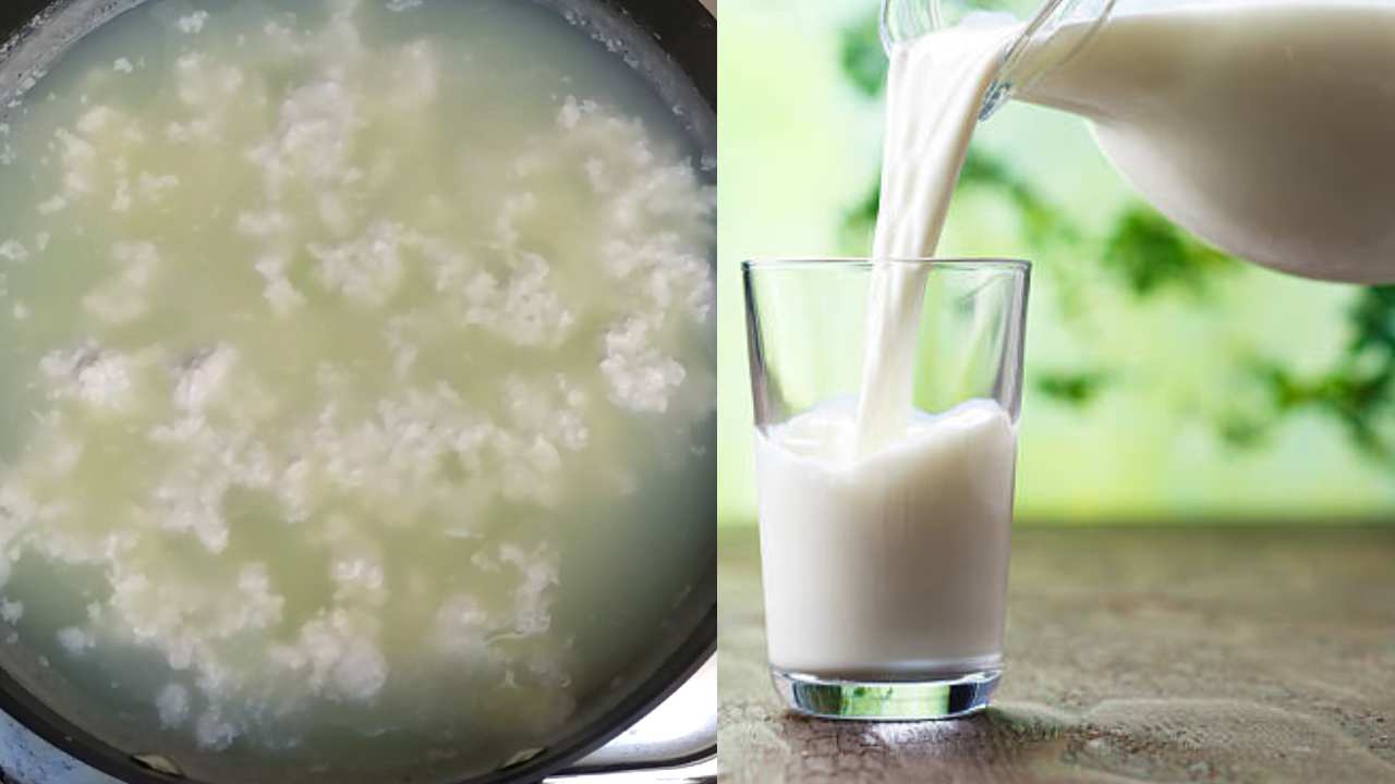 Do you know what to do to prevent milk from spoiling?