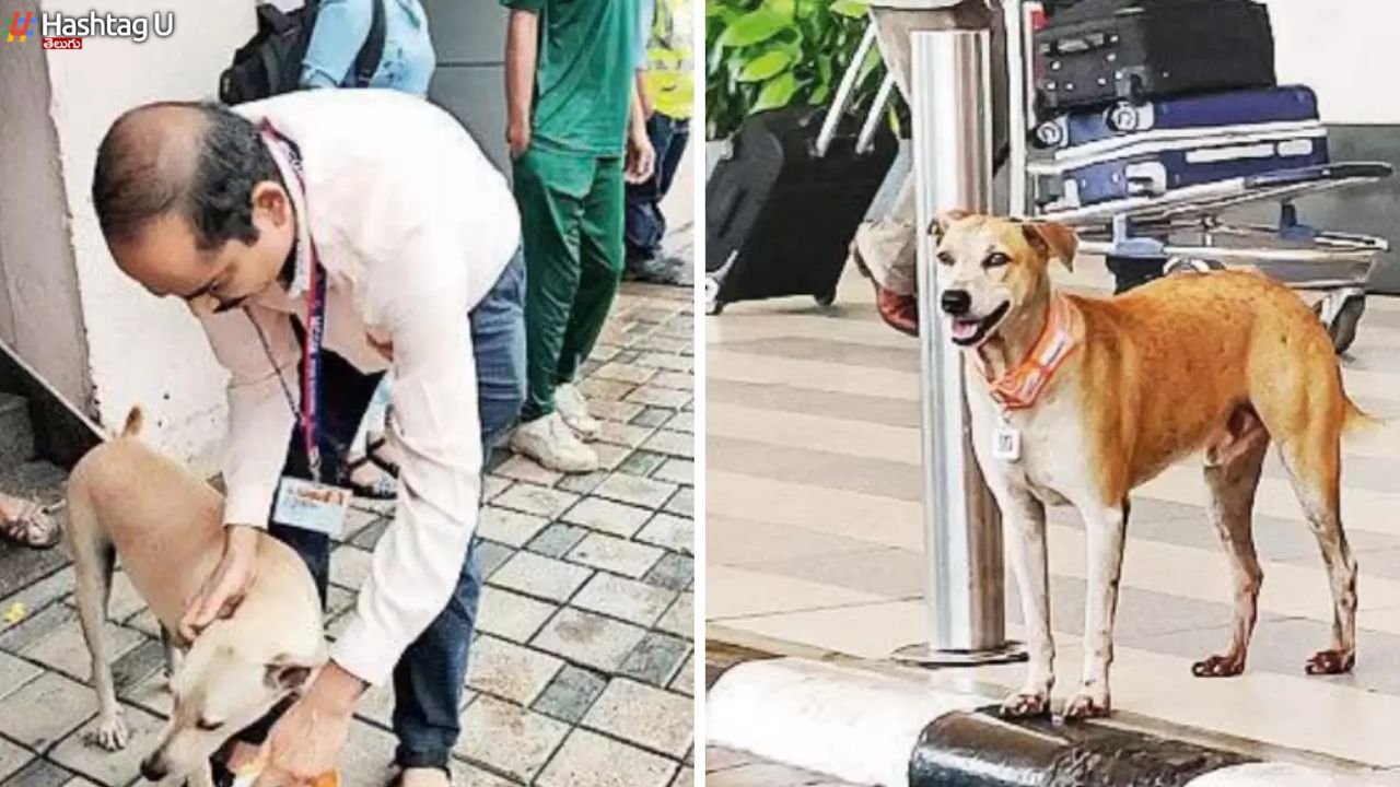Aadhaar Card For Dogs