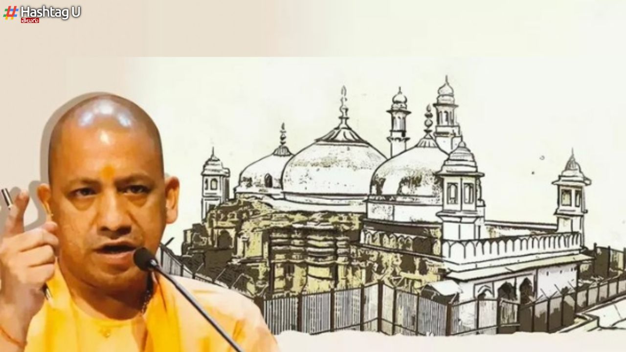 Muslims Should Give Solution