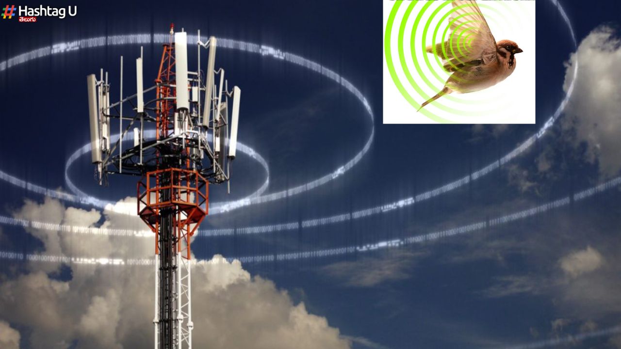 Surprise Reason Vs Mobile Towers