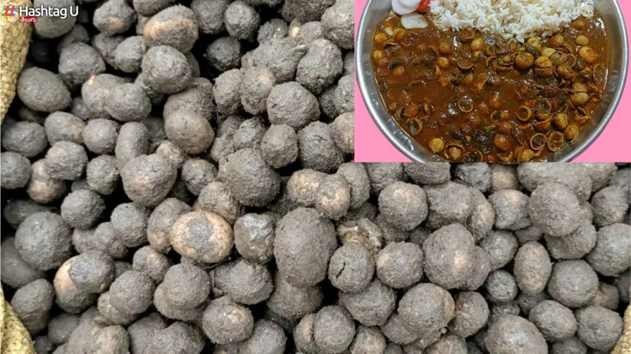 Vegetable 1 Kg 1000
