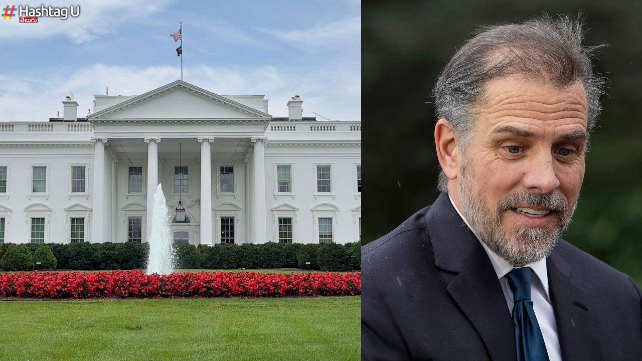 White House White Powder