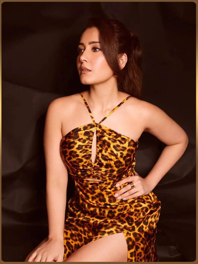 Raashi khanna :  పులి చారల డ్రెస్ లో రాశి ఖన్నా కొత్త ఫోటోషూట్