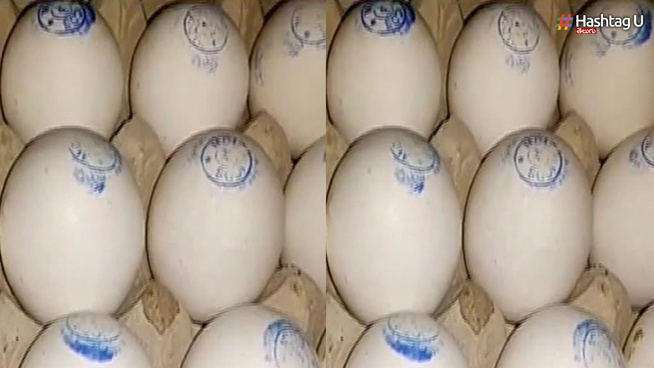 Eggs