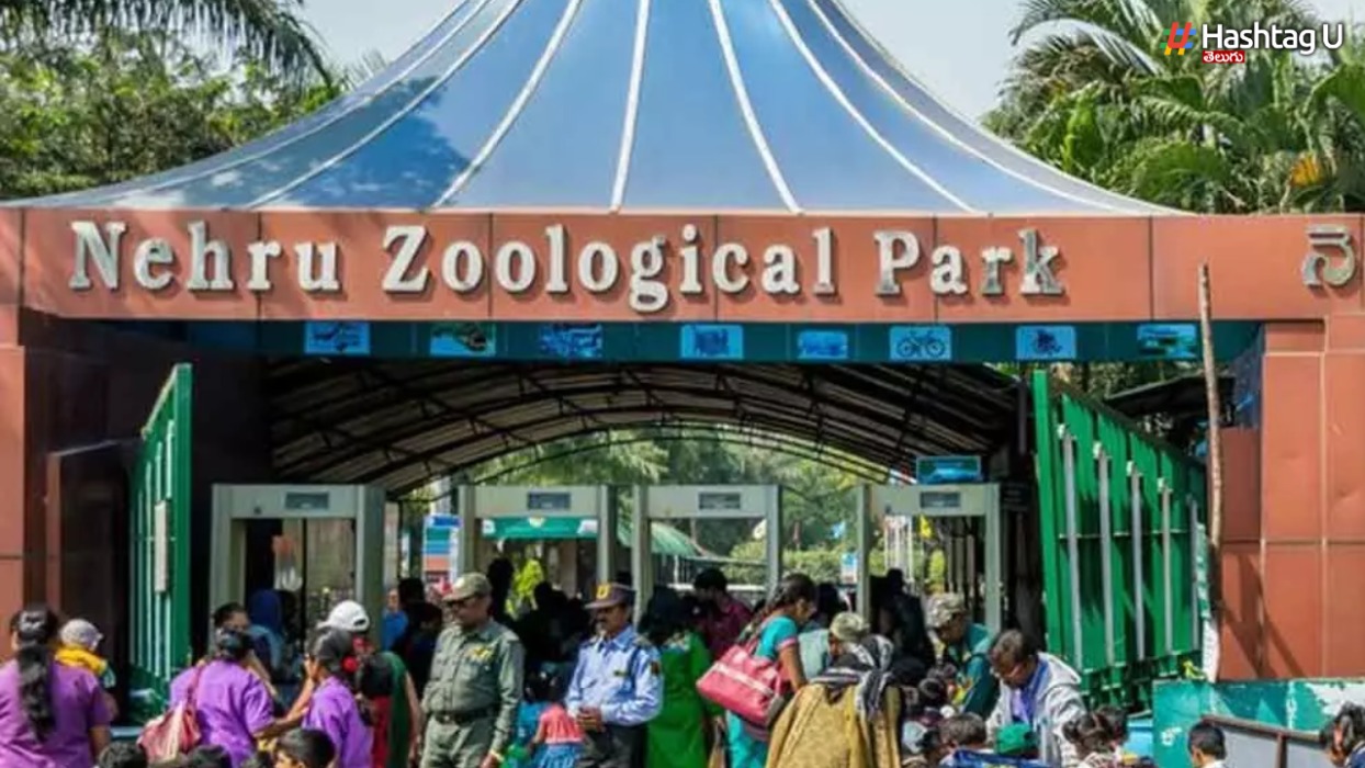 Nehru Zoo Park