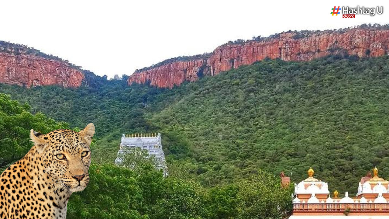 Tirumala Alipiri