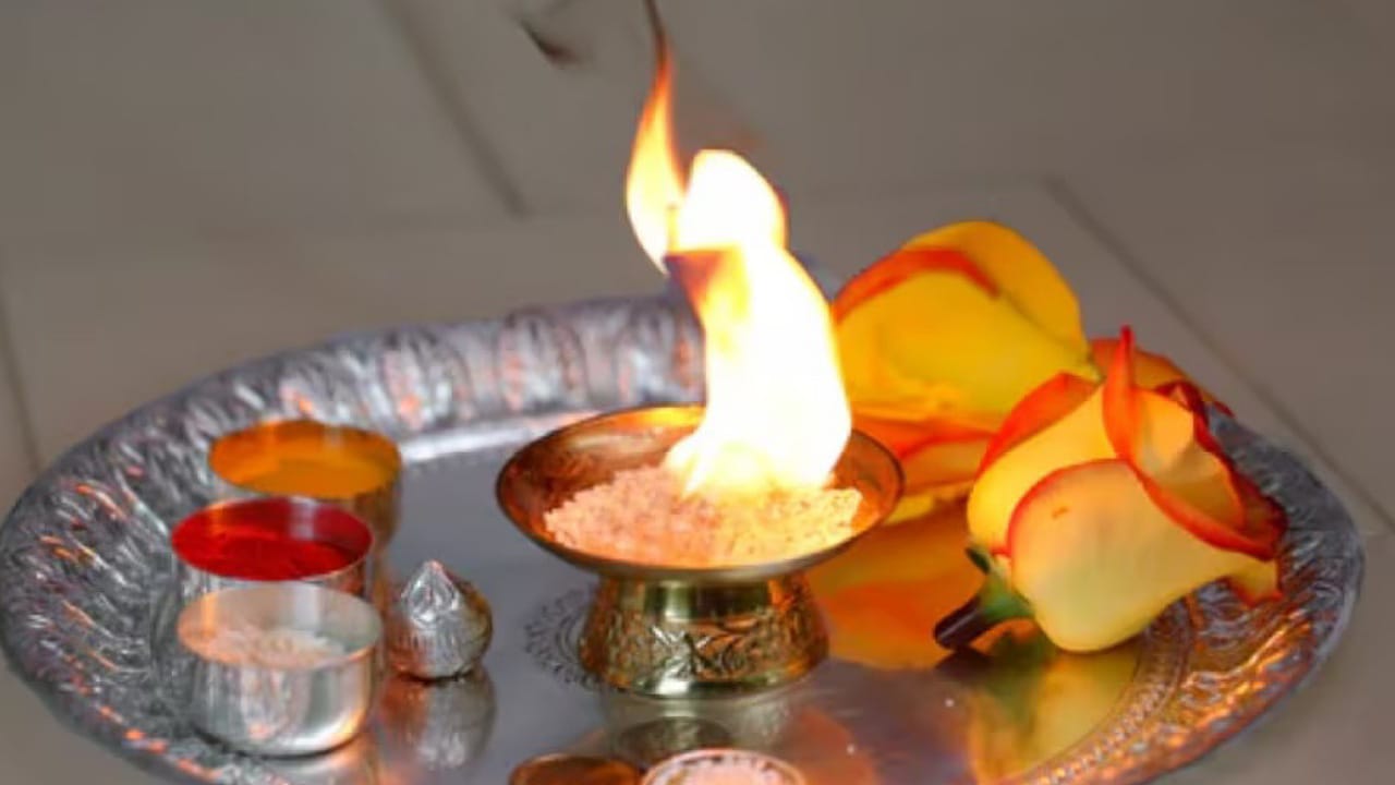 Camphor