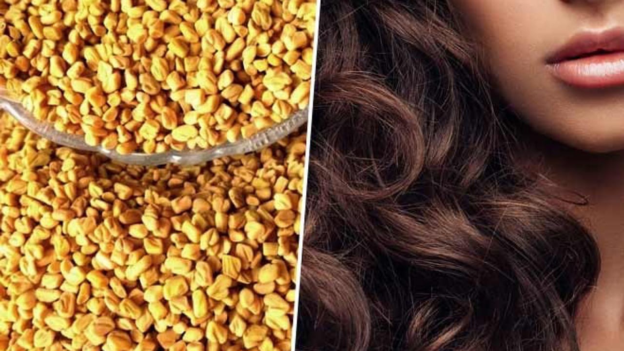Fenugreek Seeds