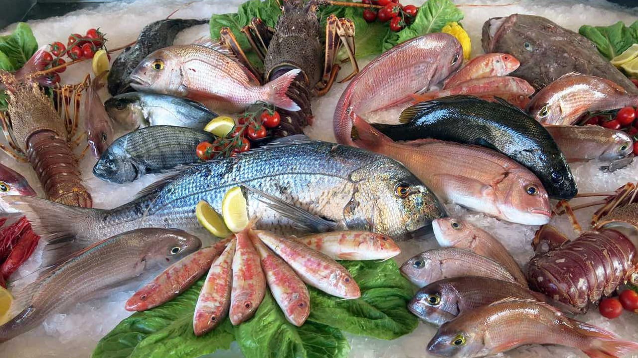 Fish