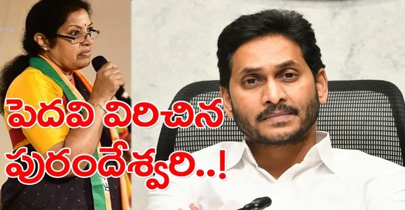Jagan Board