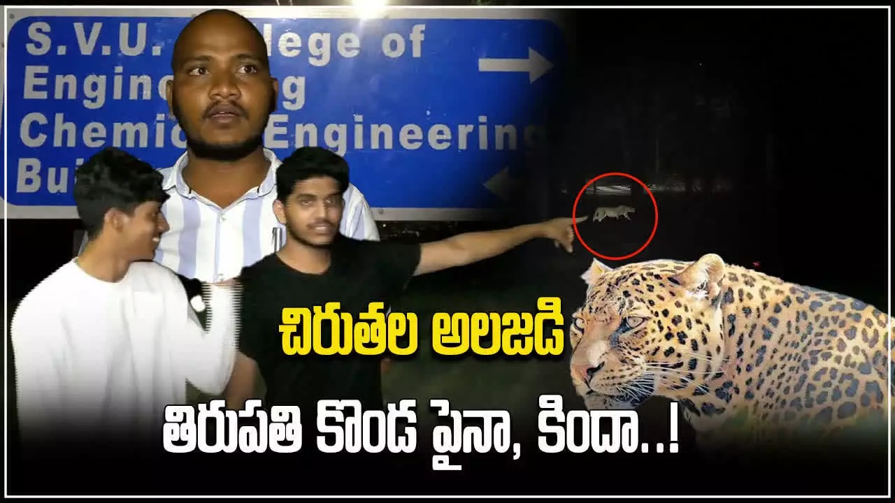 Tirumala Forest