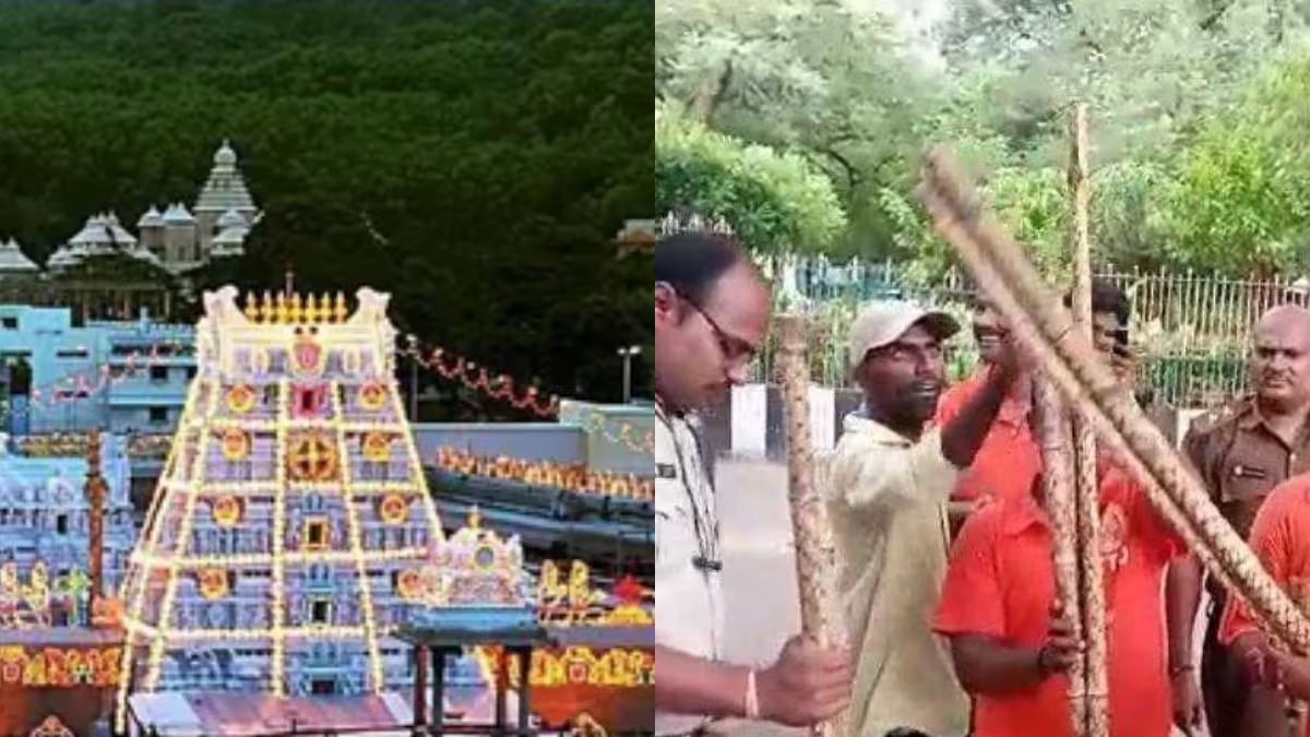 Tirumala Tiger