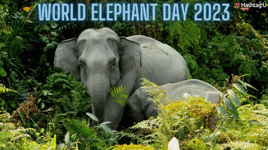 World Elephant Day