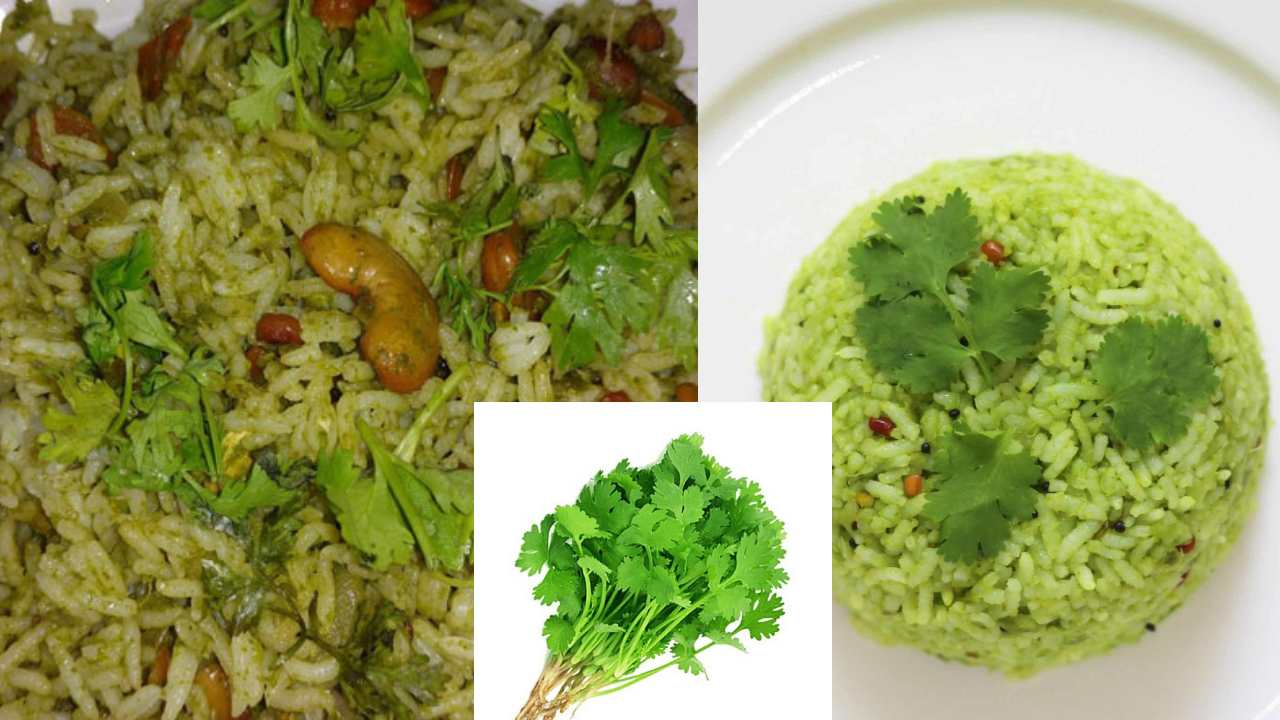 how to prepare Coriander Rice in home simple and tasty way