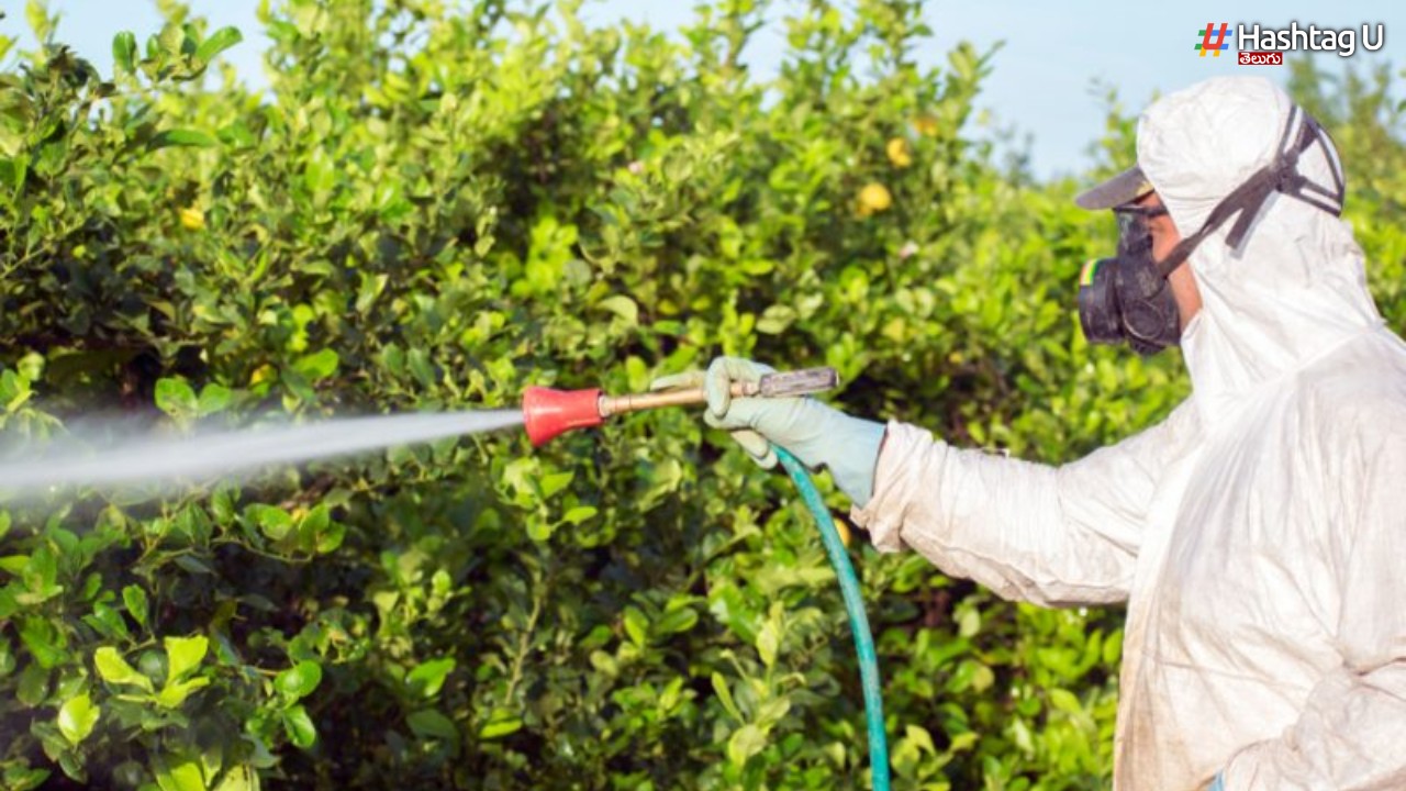 Fake Pesticides