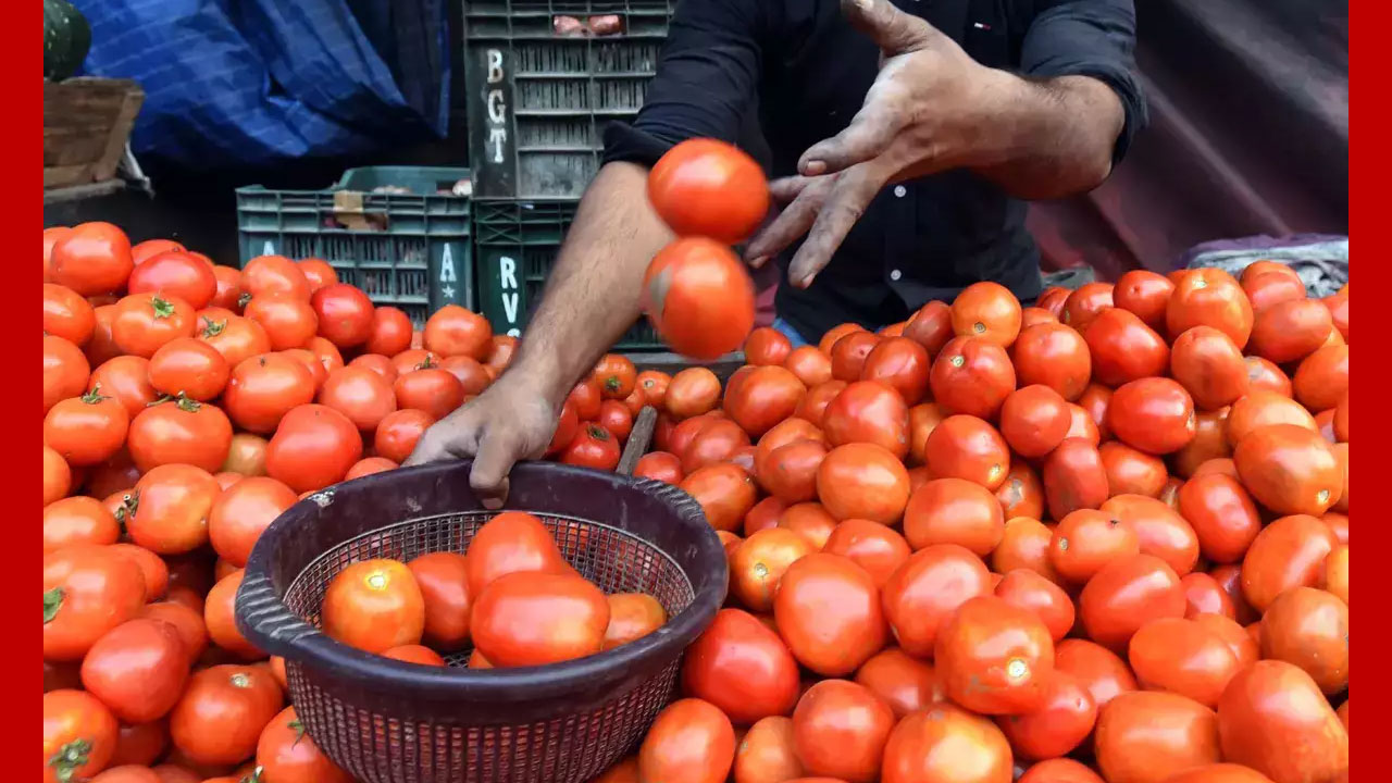 Benefits of Tomatoes