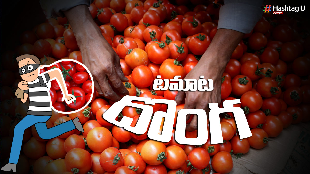 Tomato Donga