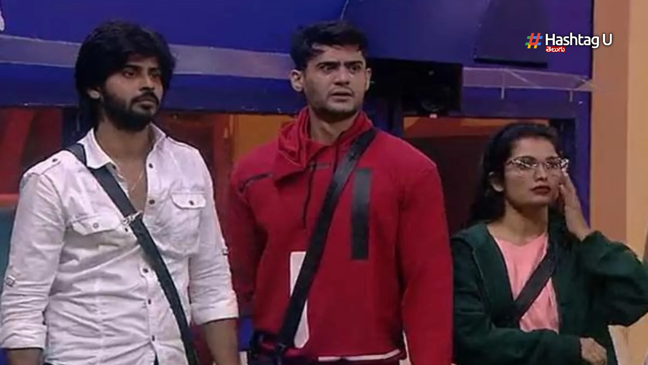 Biggboss 7 Which Contestant