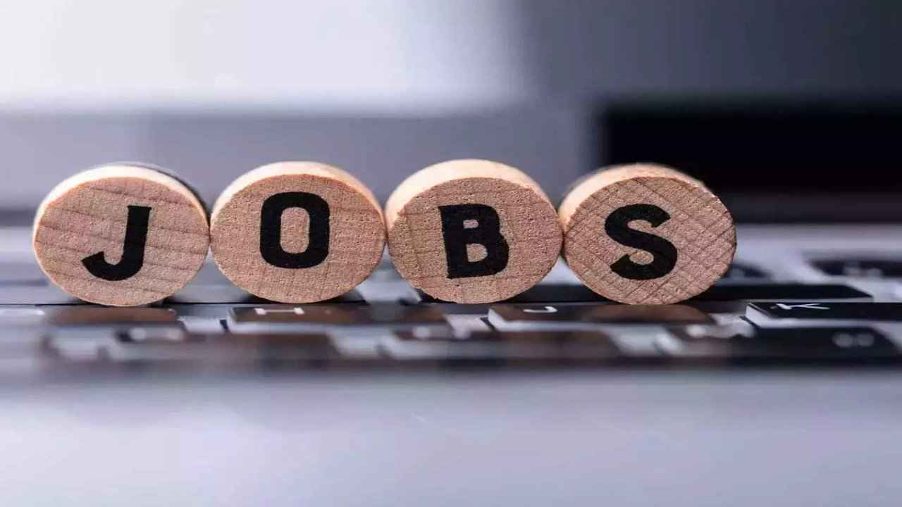 Junior Translator Posts: