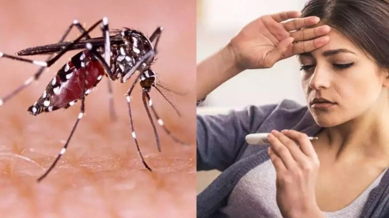 Dengue