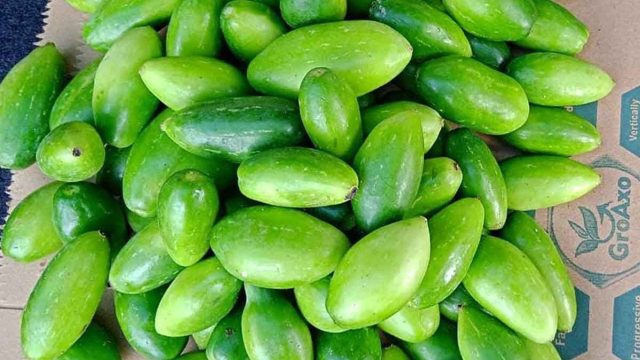 Dondakaya