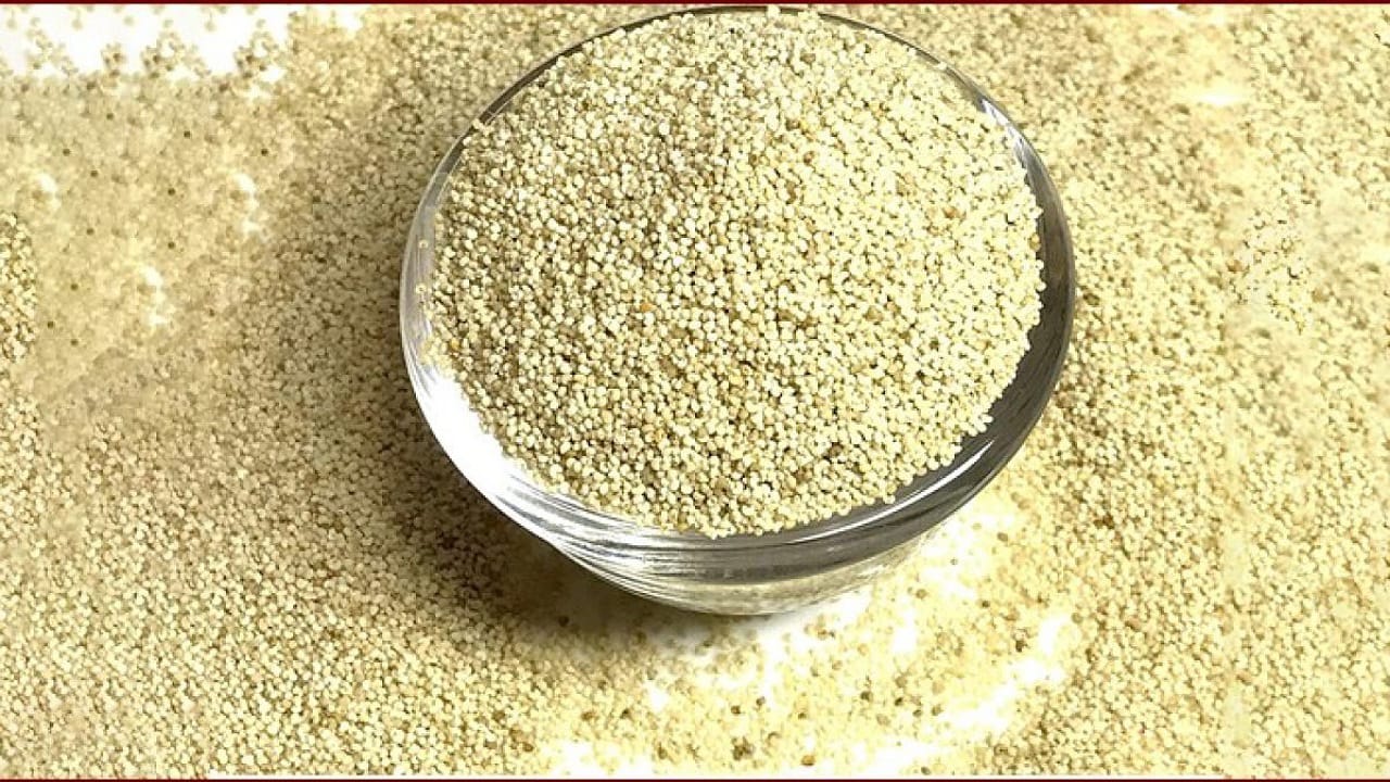 Poppy Seeds