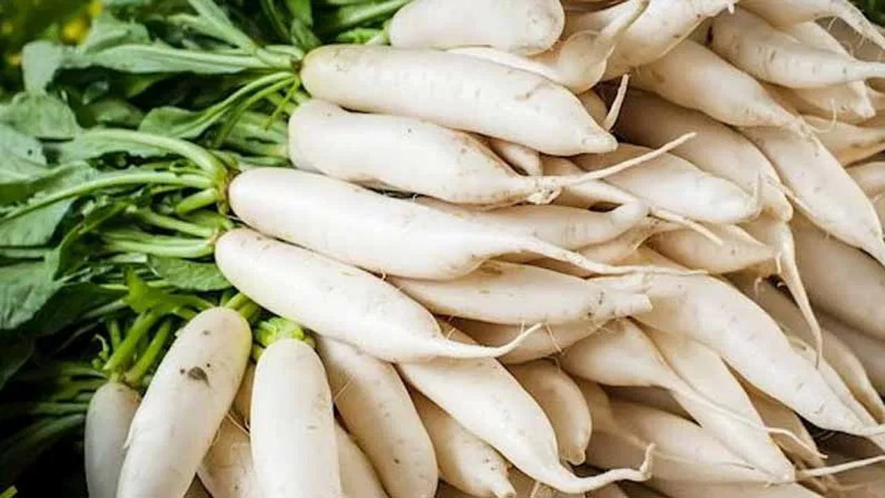 Radish
