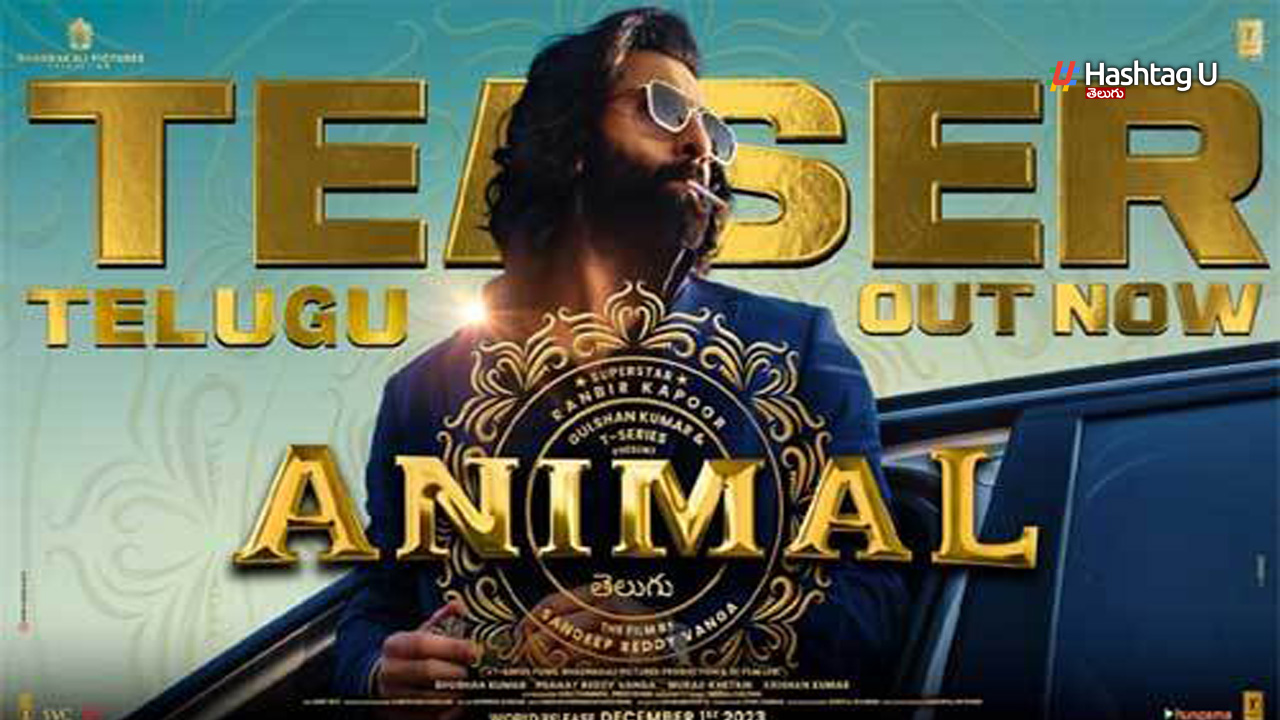 Ranbhir Kapoor Animal Tease