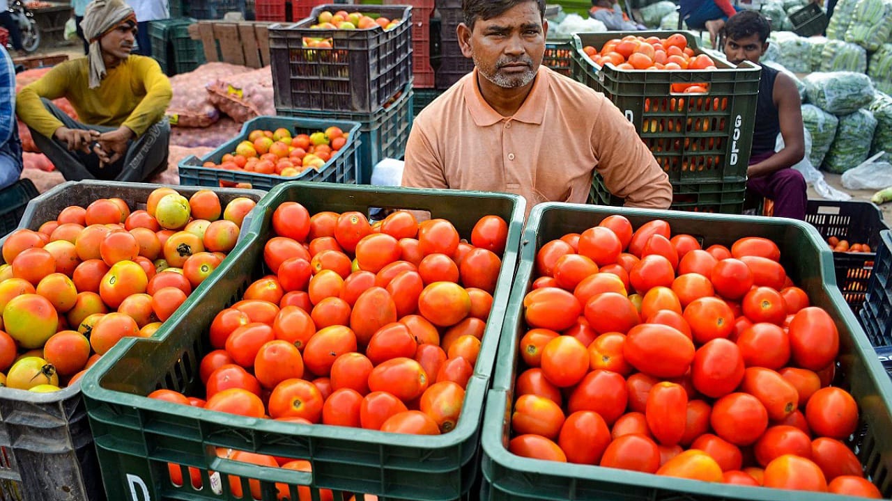 Tomato Prices Rise