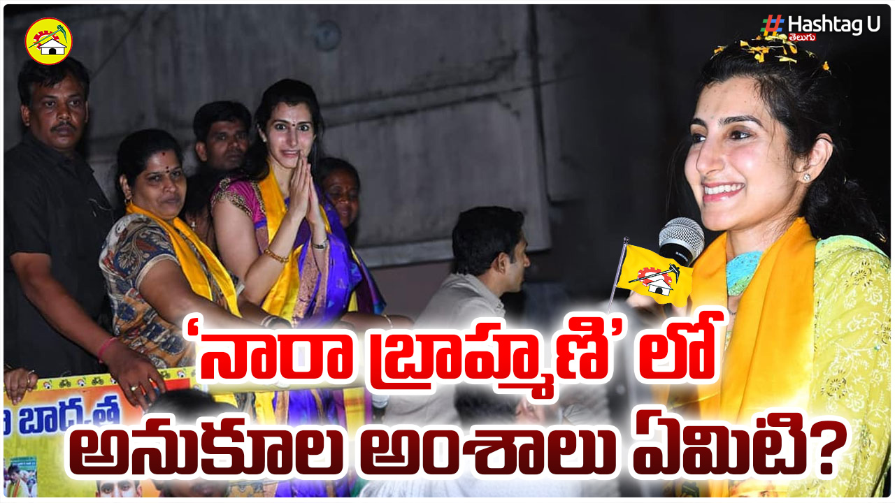 What Are The Positive Aspects Of Nara Brahmani