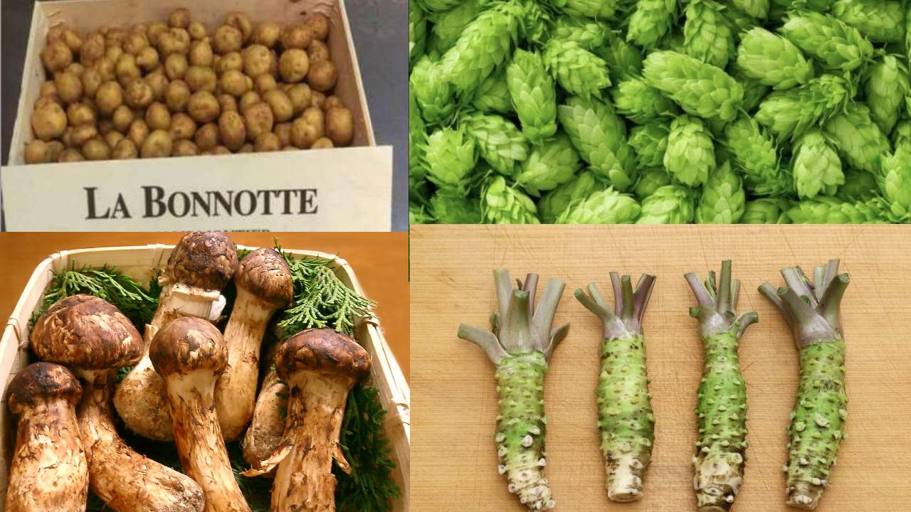 Costly Vegetables in world high Demand and High Proteins