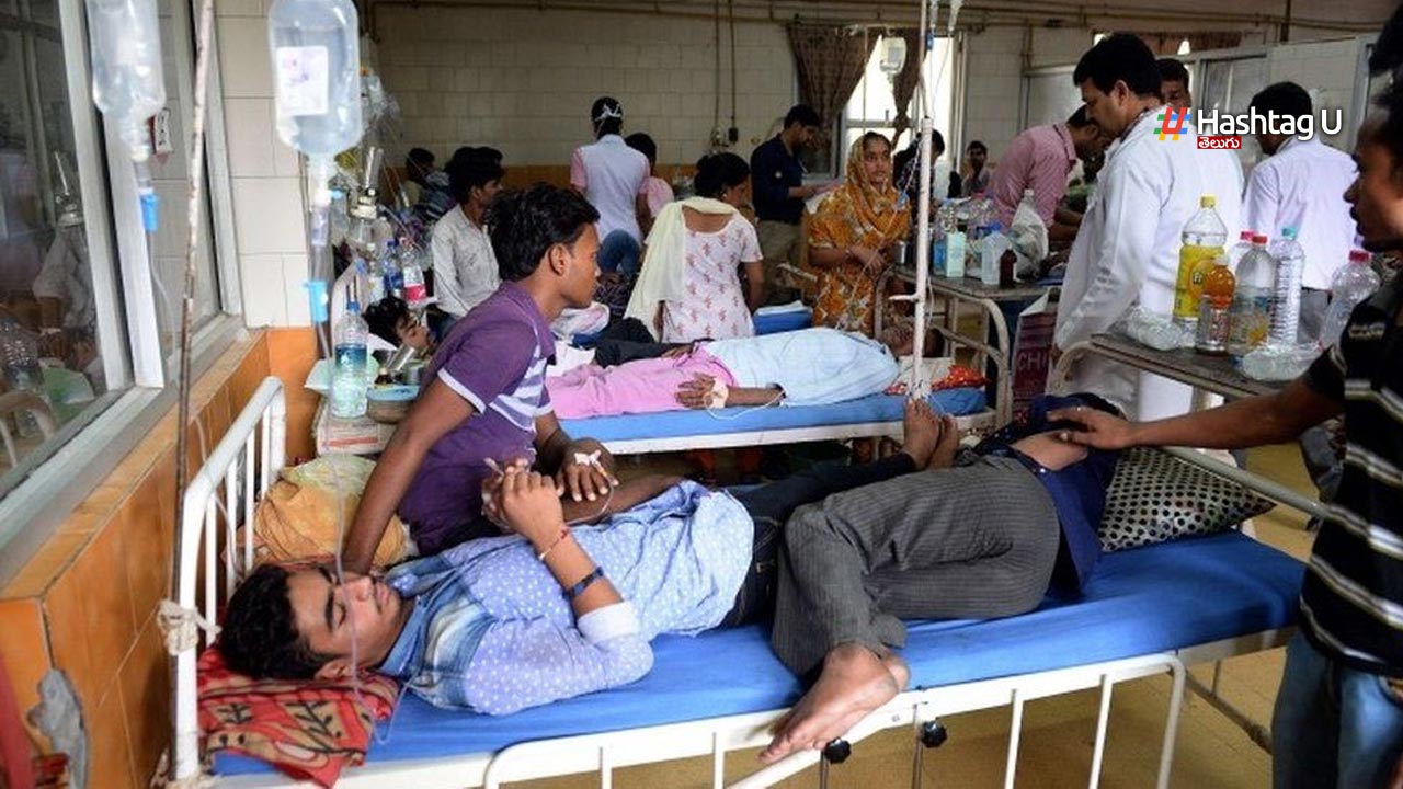 Dengue Cases In Hyderabad