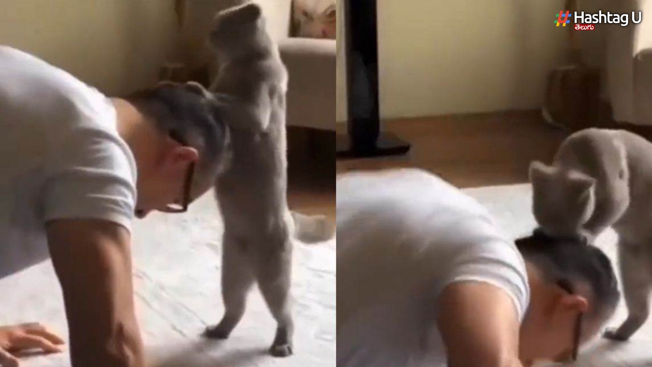 Viral Video