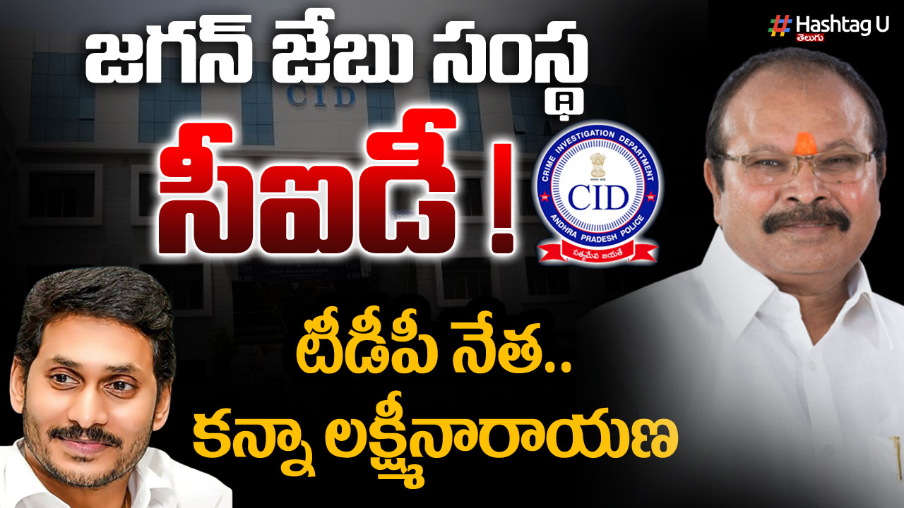 TDP vs YCP