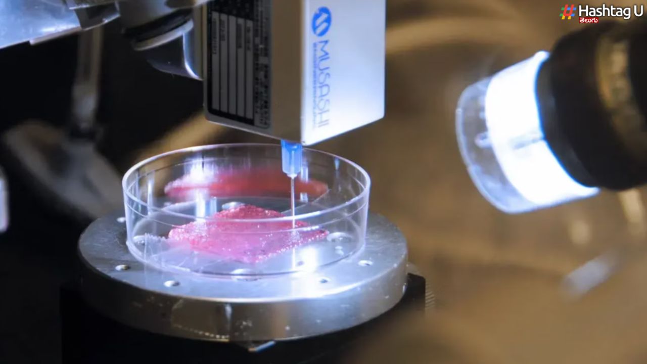 Bioprinted Skin