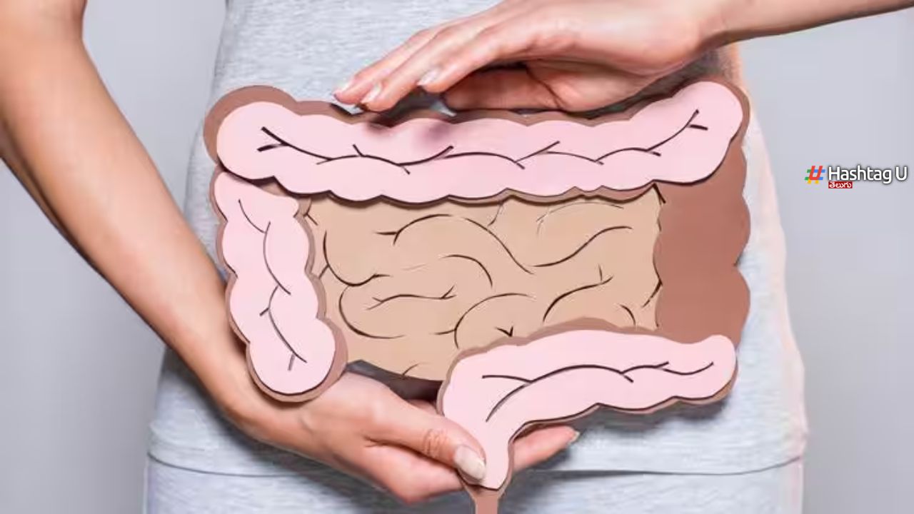 Festival Time Gut Health