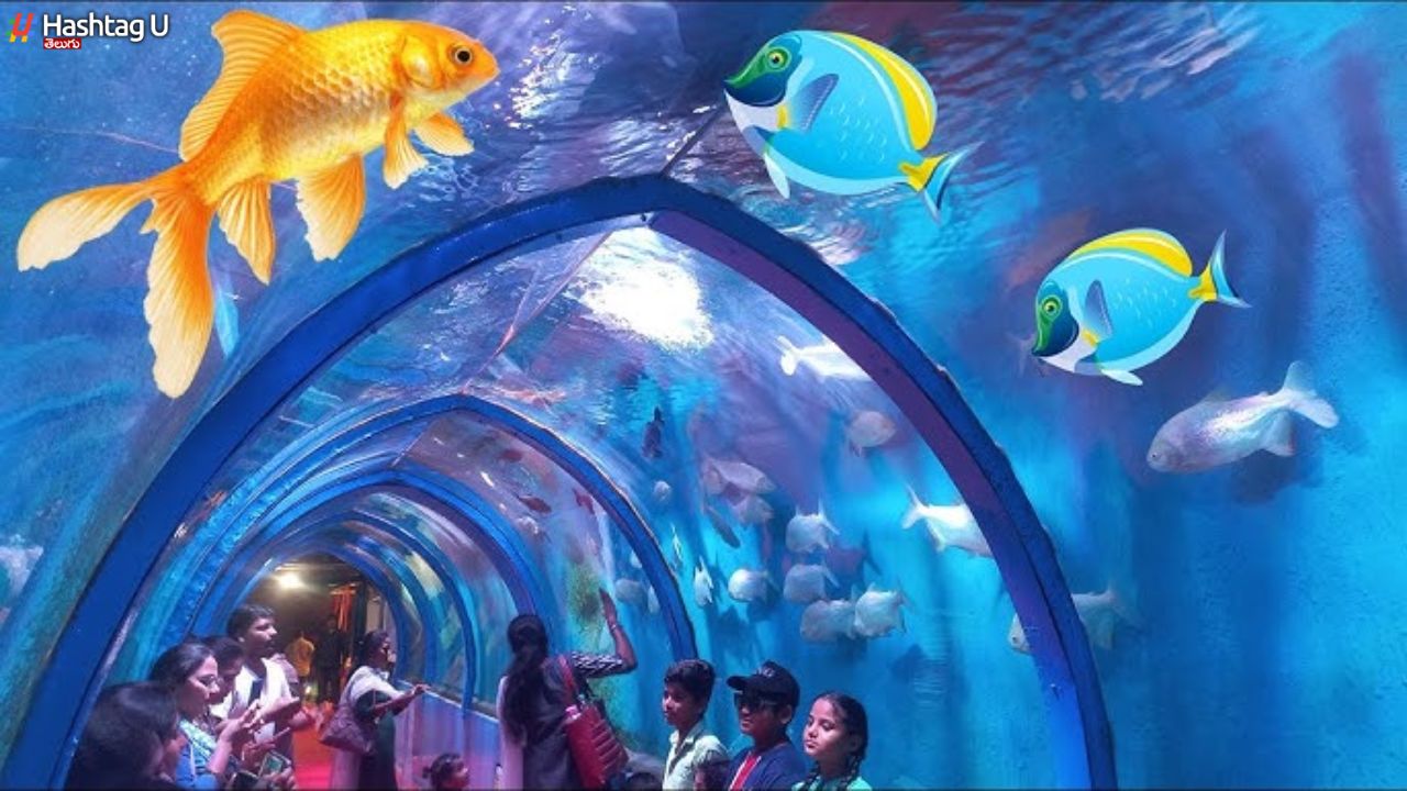 Fish Tunnel
