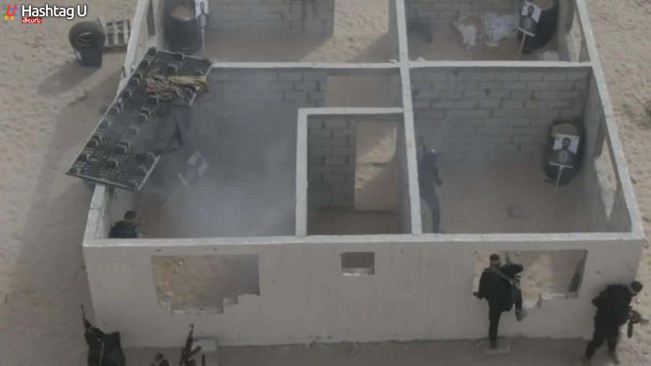 Hamas Mock Ups