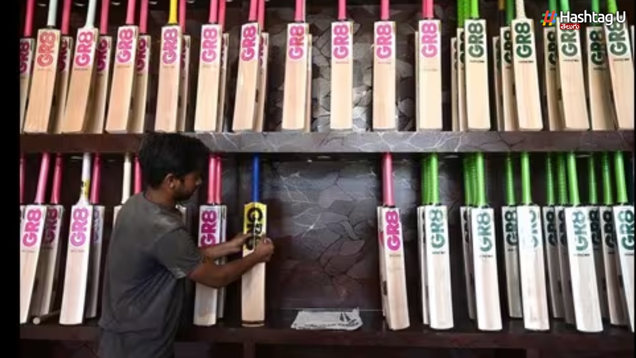 Kashmir Willow Bats