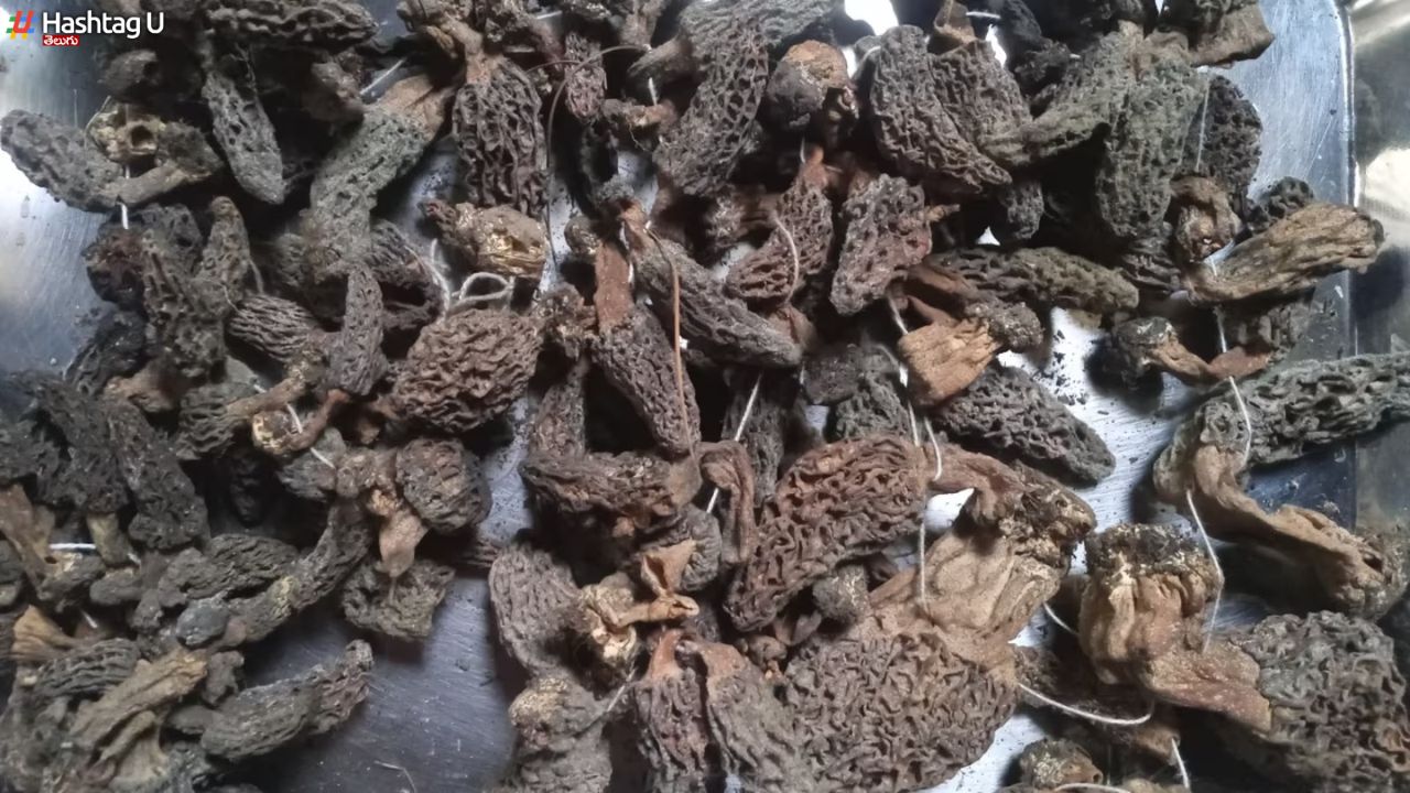 Kashmiri Mushrooms