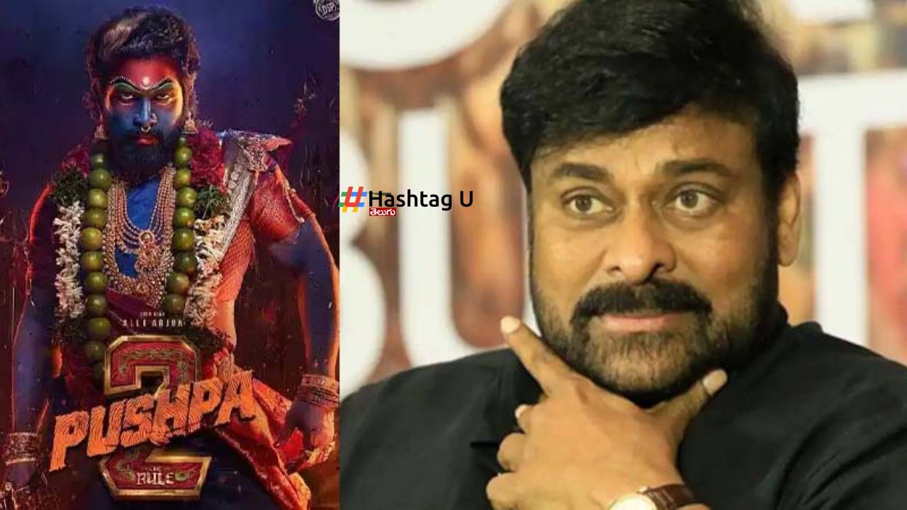 Megastar Chiranjeevi In Allu Arjun Pushpa 2 Sukumar Mega Plan
