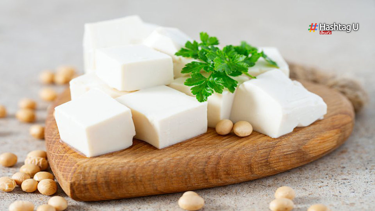 Paneer Fresh