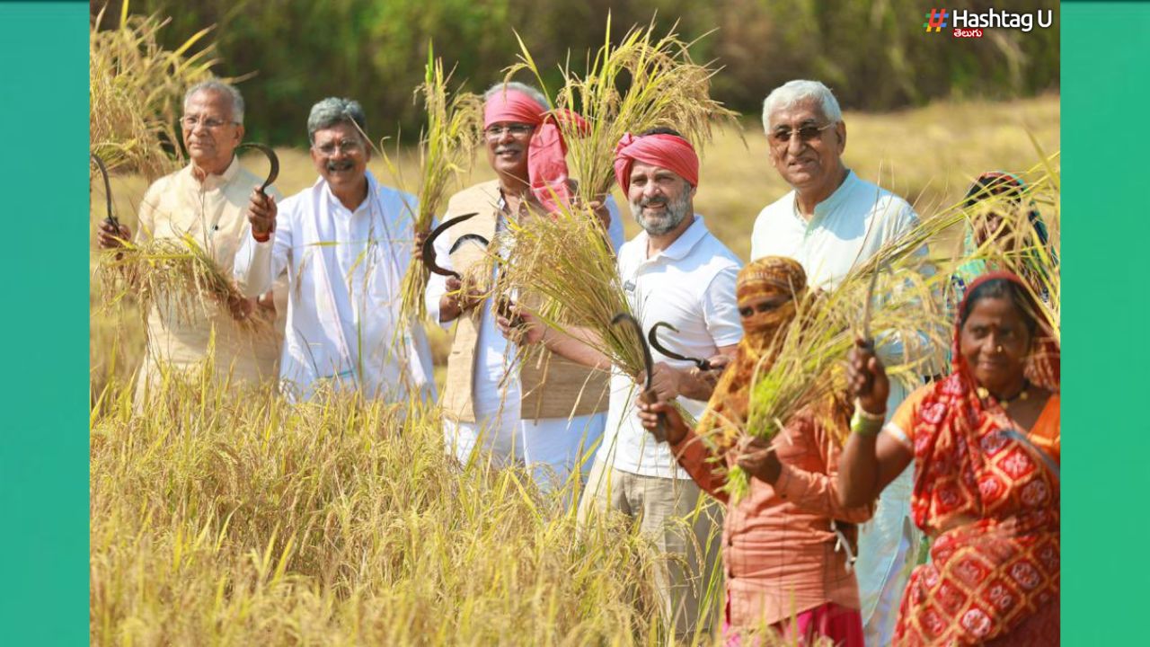 Rahul Farm Work