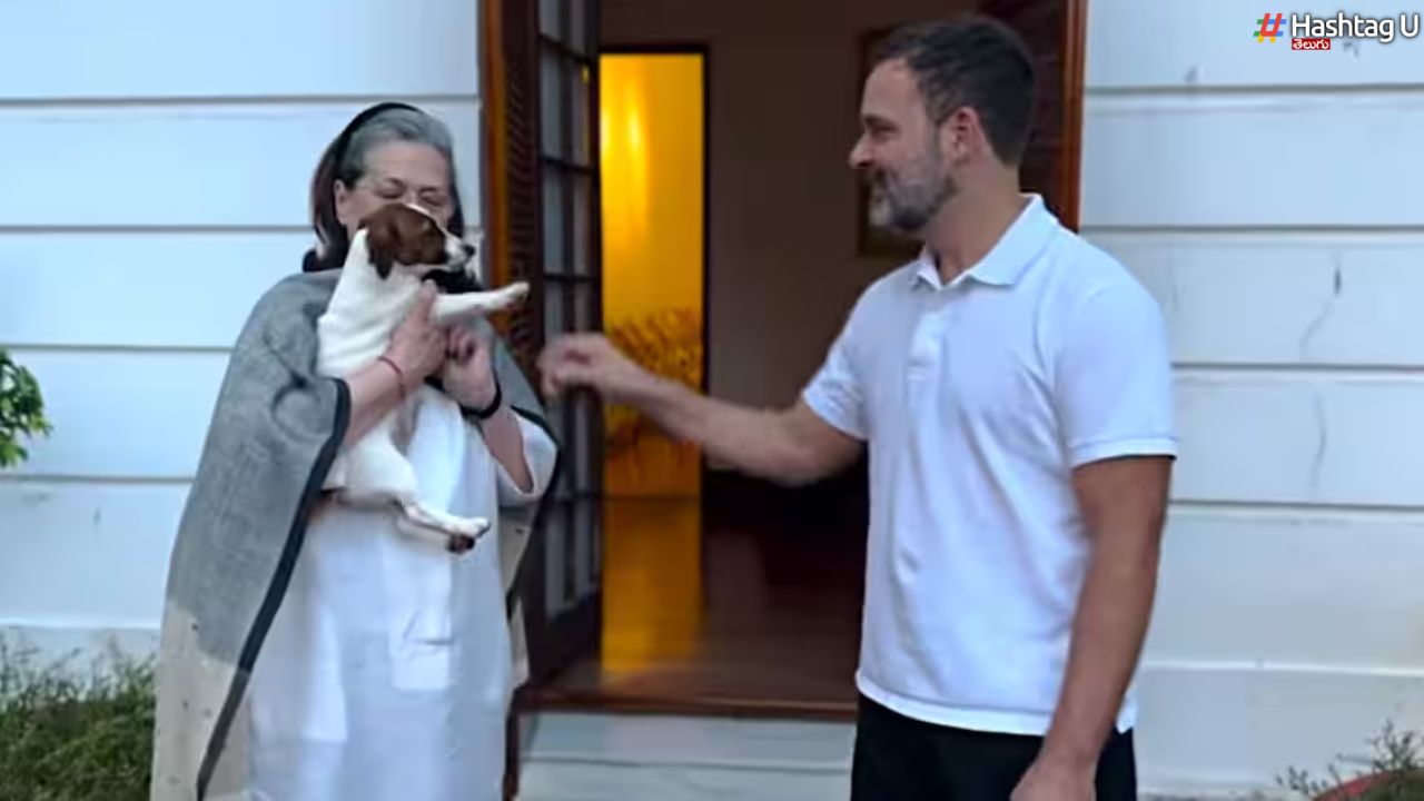 Rahul Gift