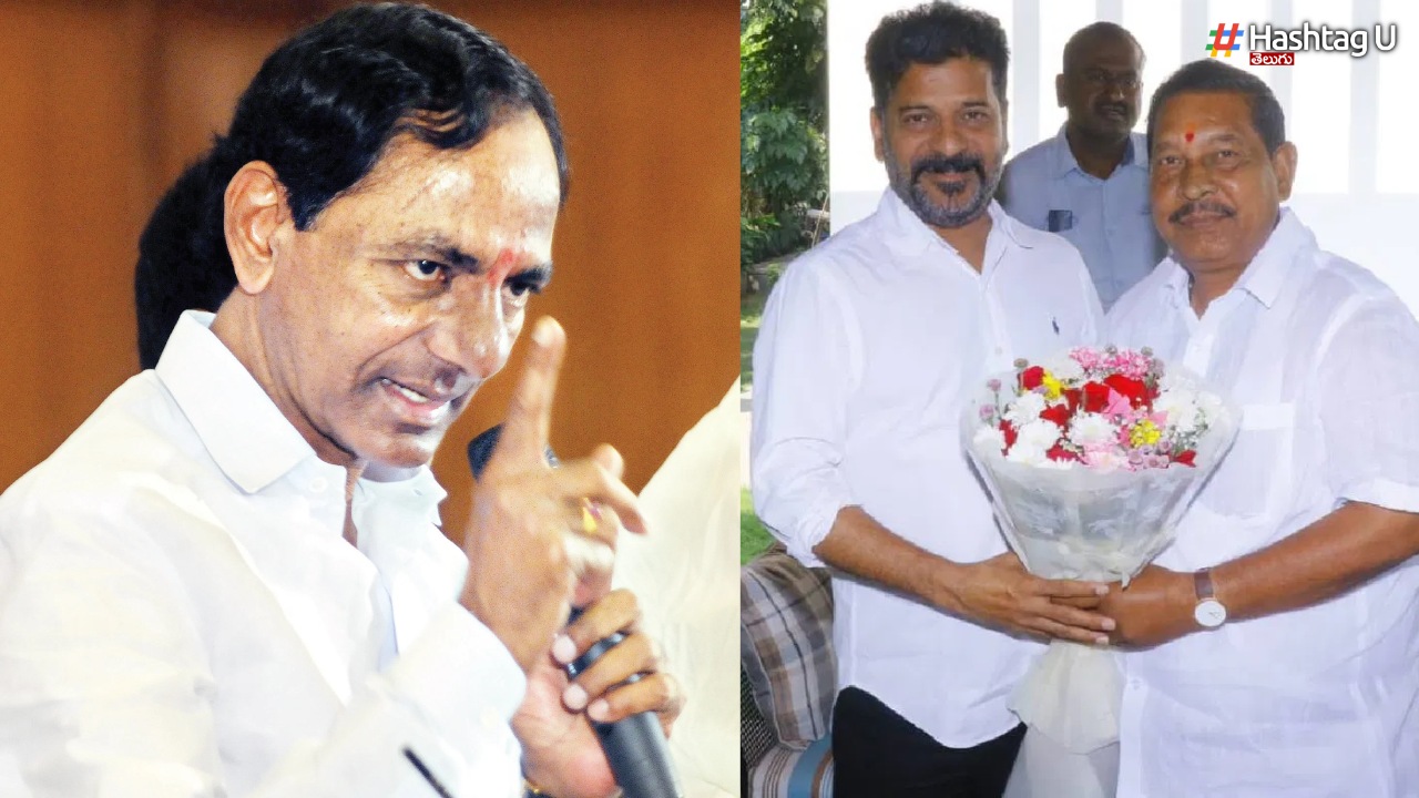Telangana (31)