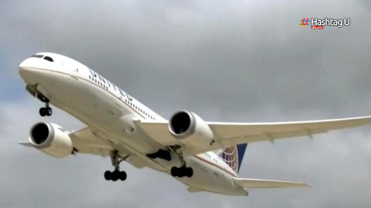 Flight Emergency Landing
