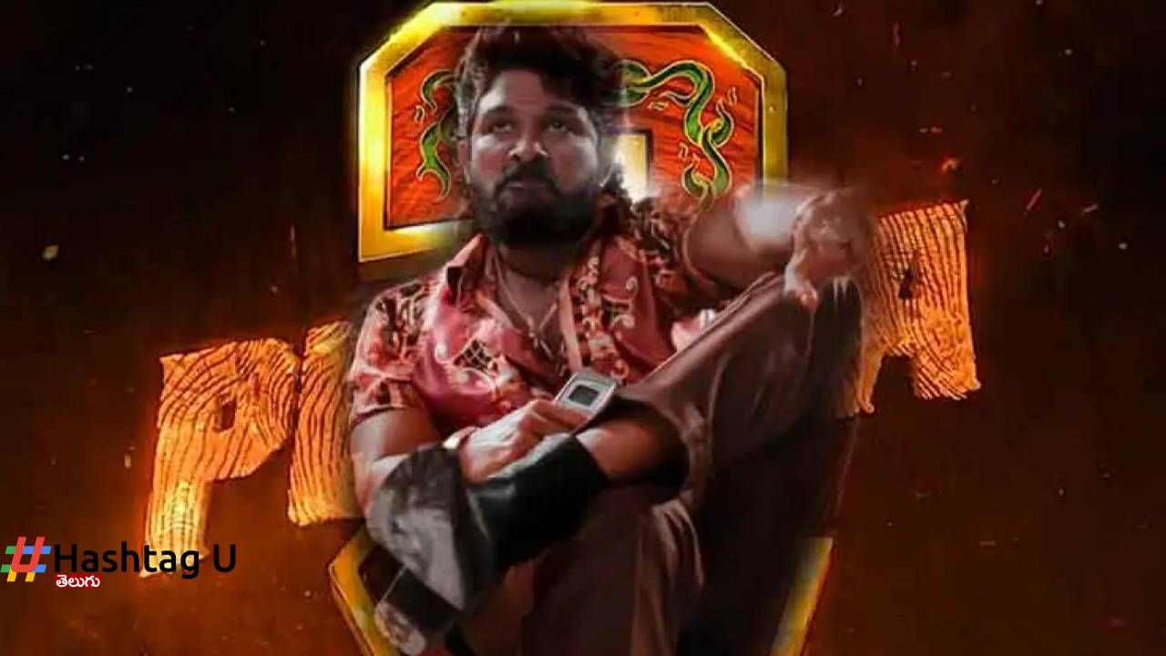Pushpa 3 No More Shekhevath in This Part